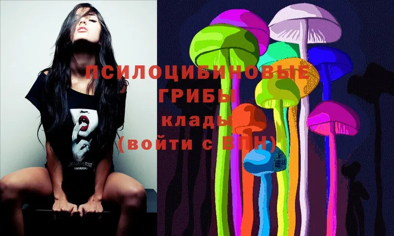 Псилоцибиновые грибы Magic Shrooms  сайты даркнета какой сайт  Красный Холм 